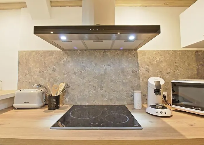 Le - Plein Centre Apartment